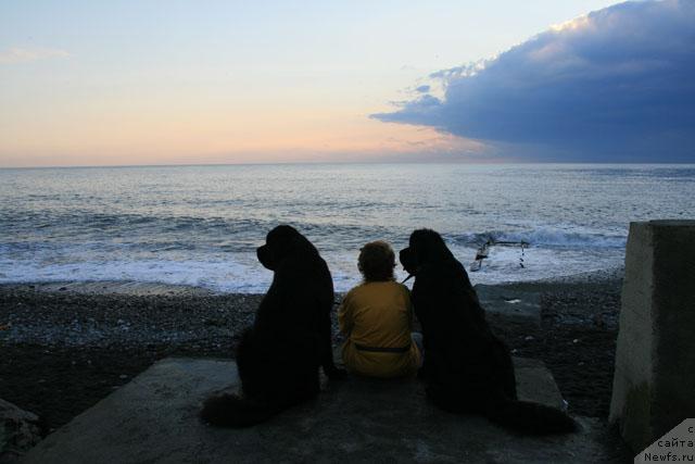 Фотография № 19054