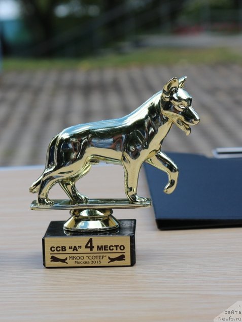 Фотография № 190556