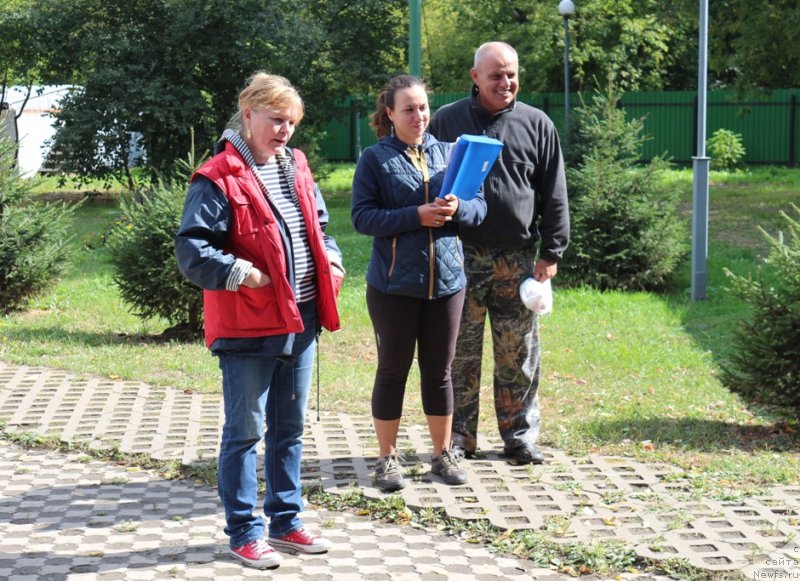 Фотография № 190557