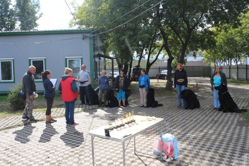 Фотография № 190558