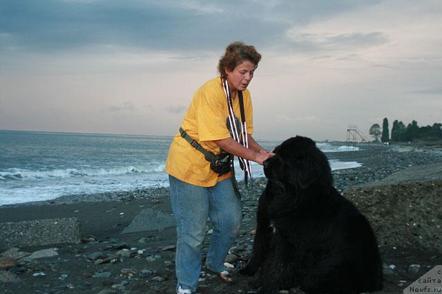 Фото: ньюфаундленд Талула Белл (Talula Bell), ньюфаундленд Потап Фидель, Анна Ковалёва