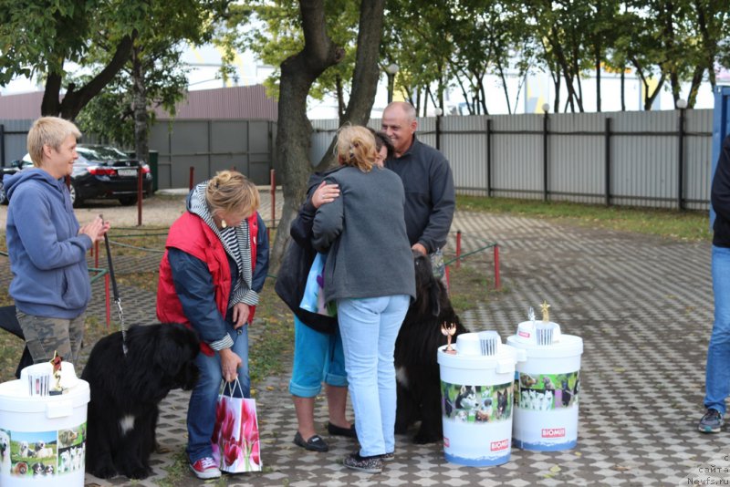 Фотография № 190562