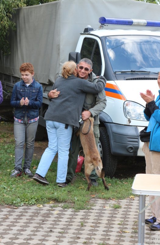 Фотография № 190567