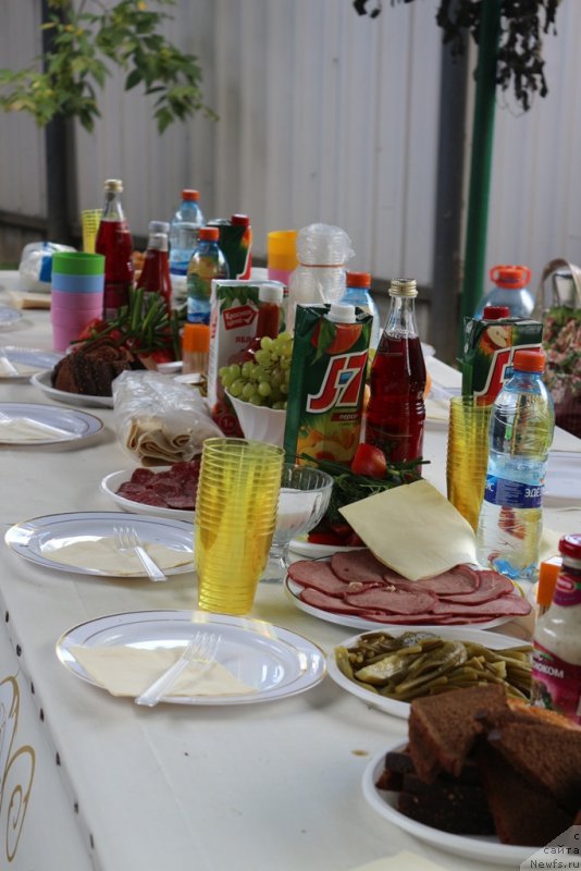 Фотография № 190569