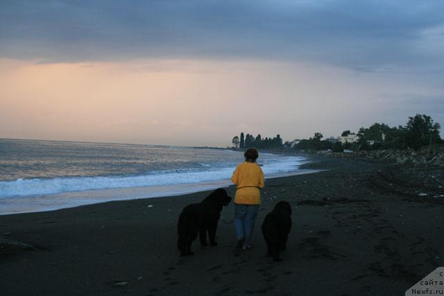 Фотография № 19057