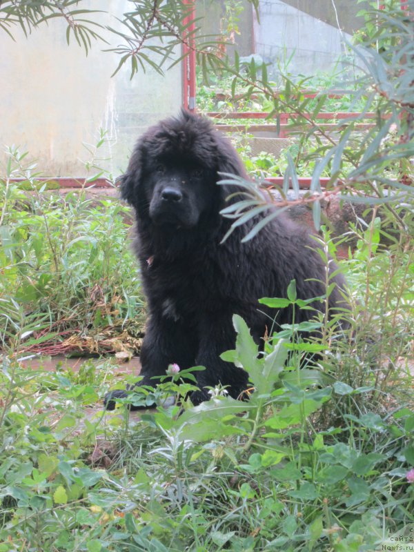 Фото: Наталья Смазчикова