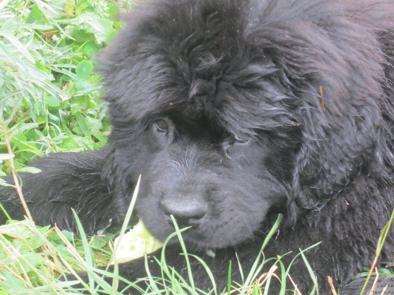 Фото: Наталья Смазчикова