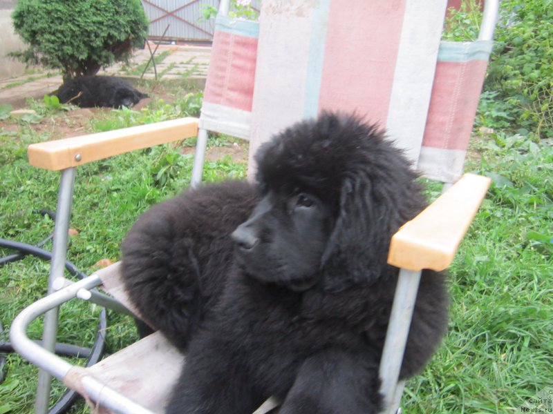 Фото: Наталья Смазчикова