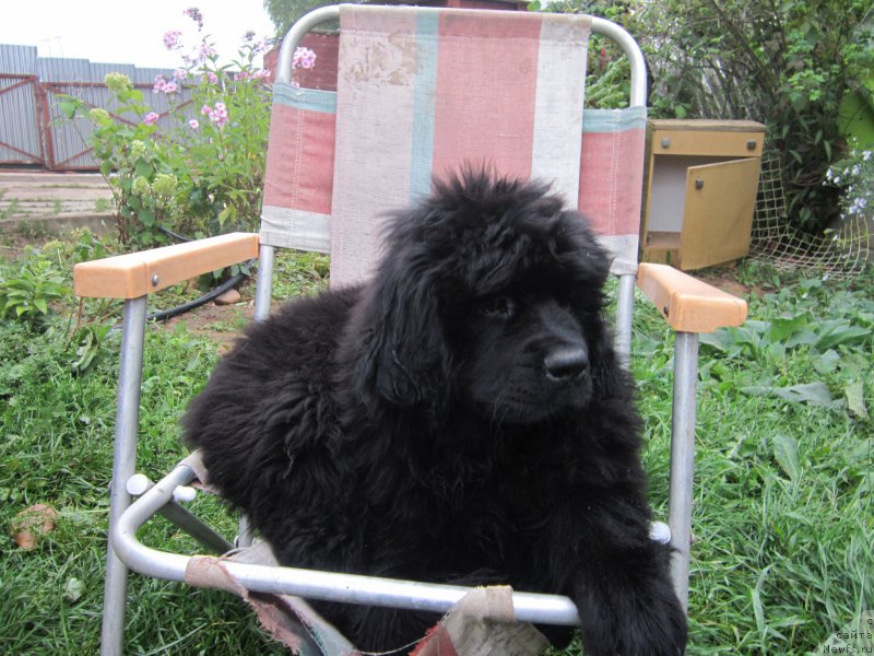 Фото: Наталья Смазчикова