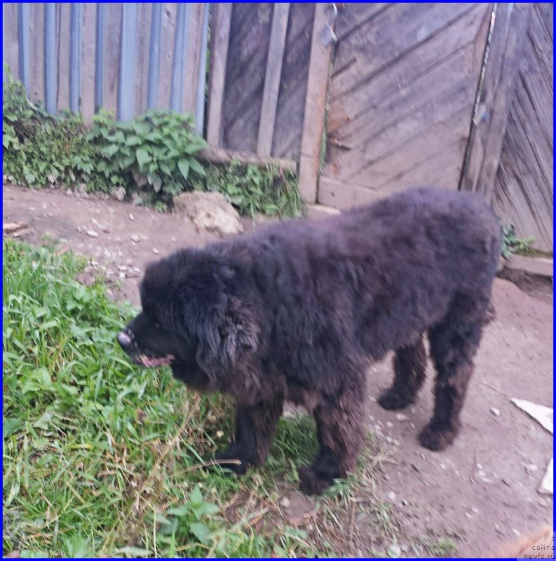 Фотография № 190604