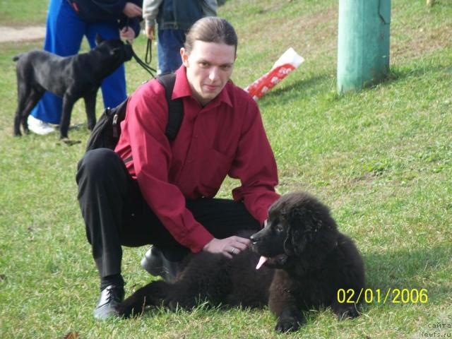 Фотография № 19061