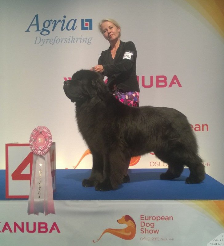 Фотография № 190642