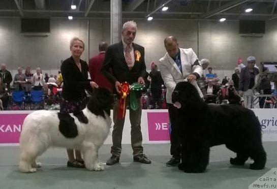 Фотография № 190643