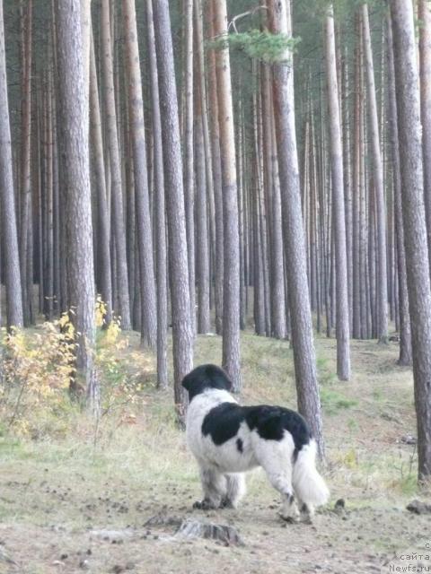 Фотография № 19066