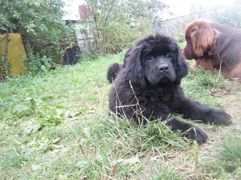 Фото: Наталья Смазчикова