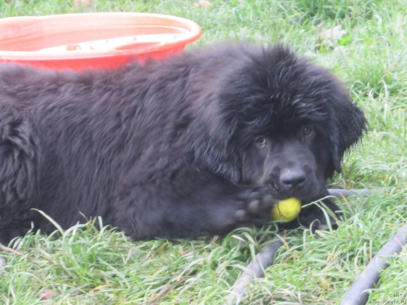 Фото: Наталья Смазчикова