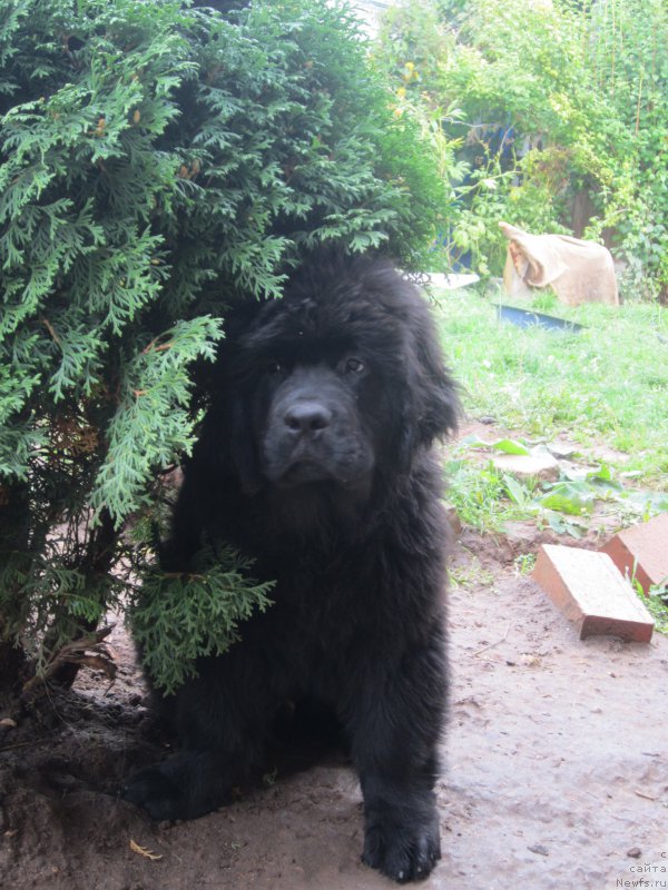 Фото: Наталья Смазчикова