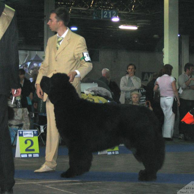 Фотография № 19068