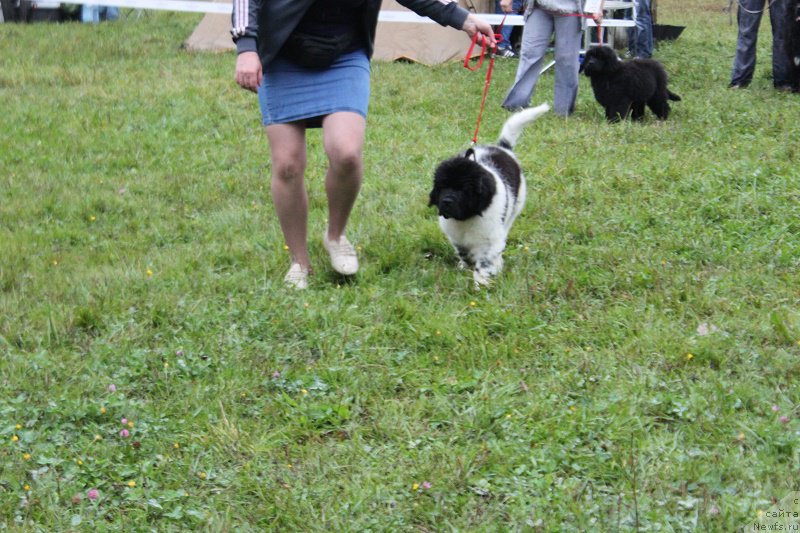 Фотография № 190694