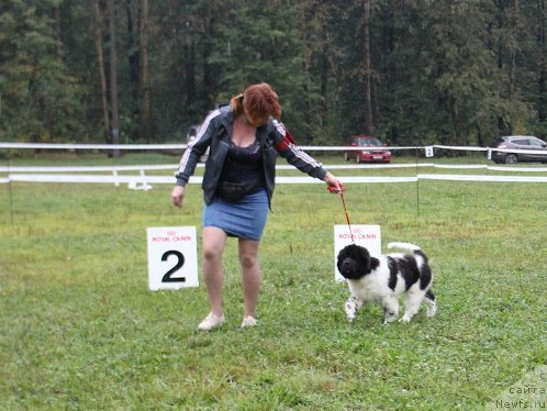 Фотография № 190695