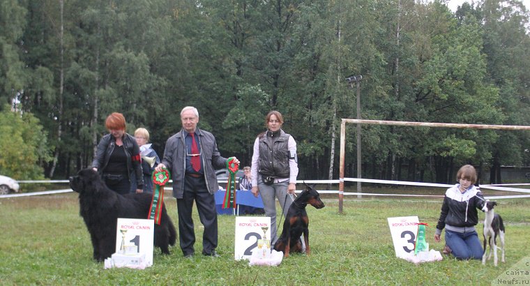 Фотография № 190697