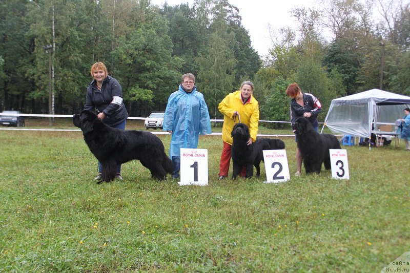 Фотография № 190698