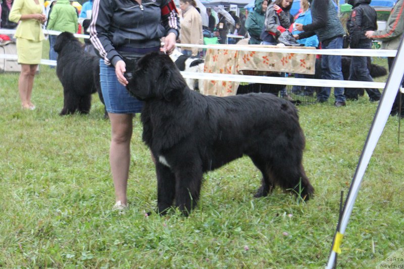 Фотография № 190699