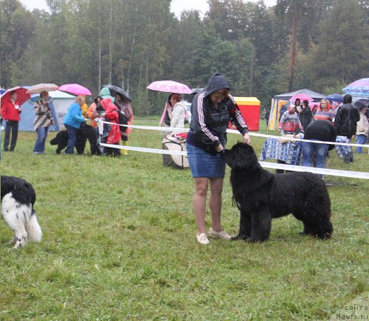 Фотография № 190701