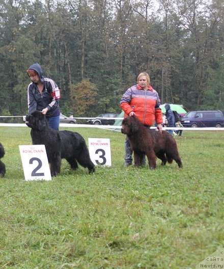 Фотография № 190703