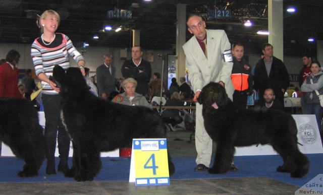 Фотография № 19072