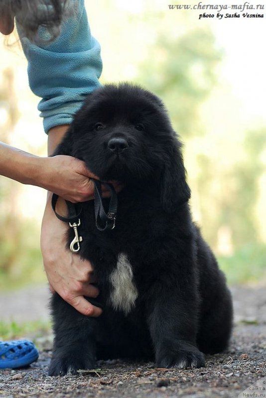 Фотография № 190732