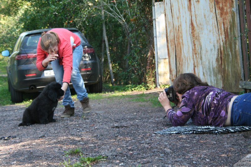 Фотография № 190742