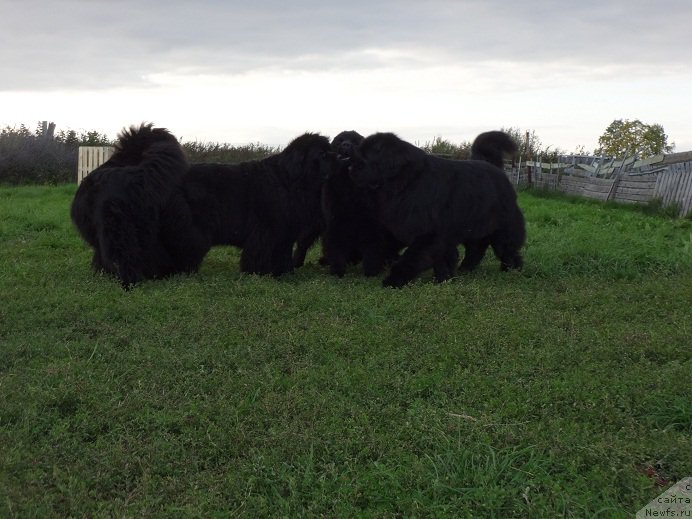 Фото: Ирина Панюшкина