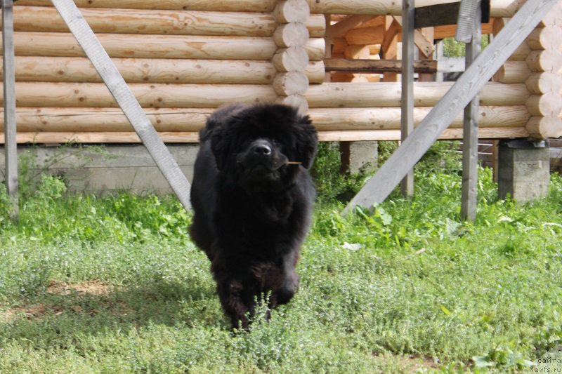 Фотография № 190792