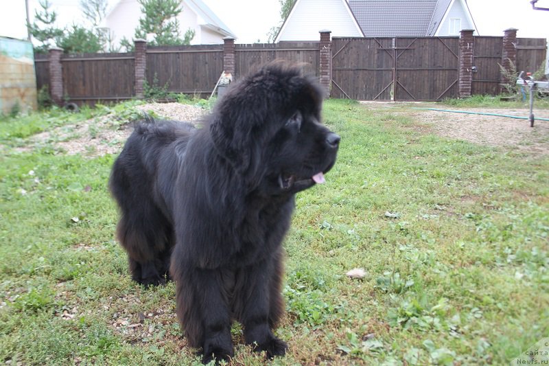 Фотография № 190795