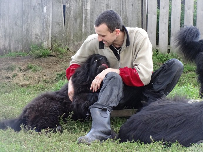 Фото: ньюфаундленд Кипер Соул Смайли для Ньюфорт