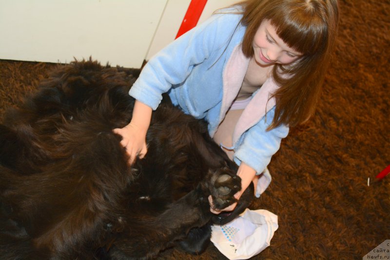 Фотография № 190812