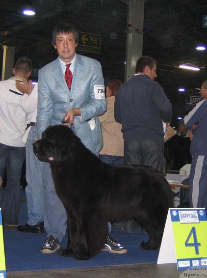 Фотография № 19082