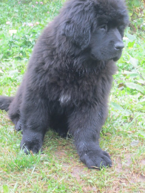 Фото: Наталья Смазчикова