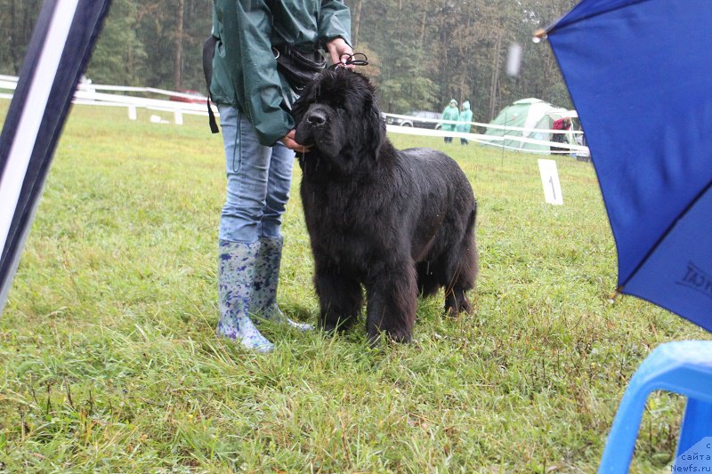 Фотография № 190828