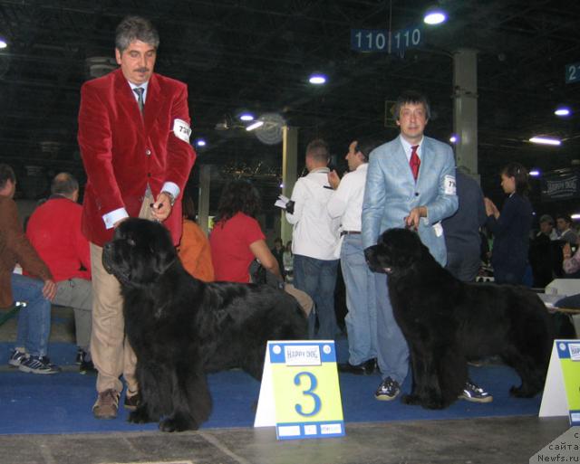 Фотография № 19083