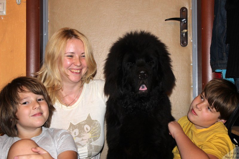 Фото: ньюфаундленд Черный Балу Евсей