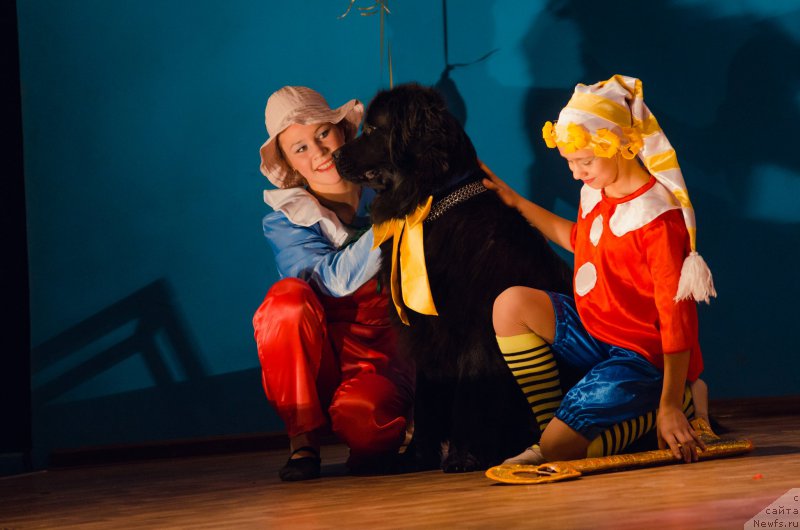 Фотография № 190841