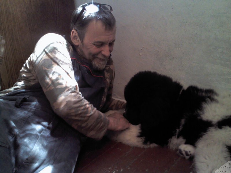 Фото: Даная