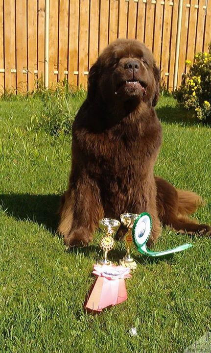 Фотография № 190877