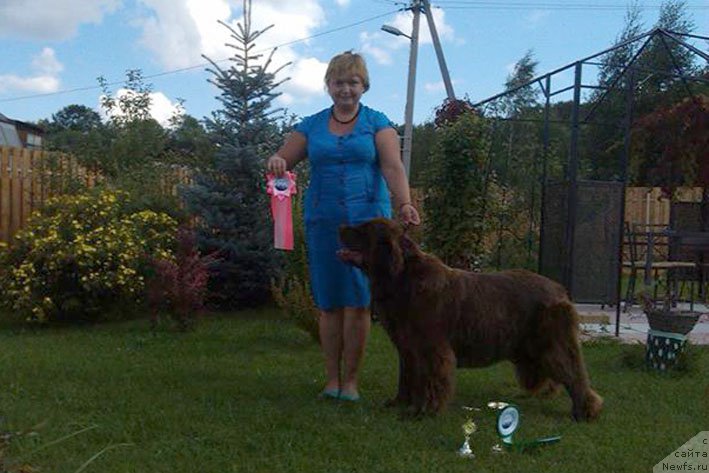 Фотография № 190879