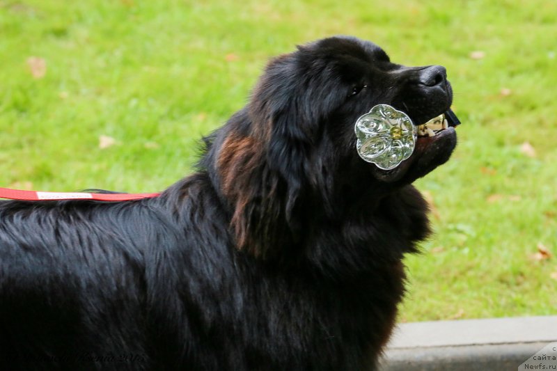 Фотография № 190882