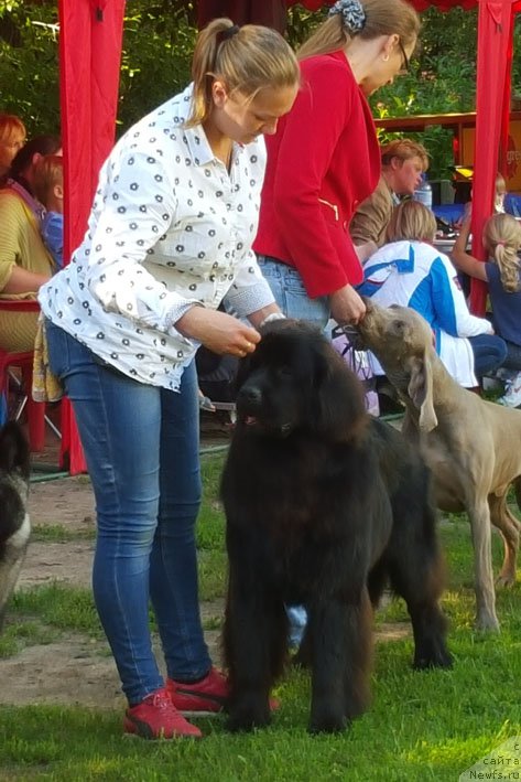 Фотография № 190883