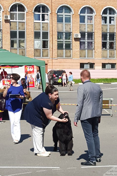 Фотография № 190884