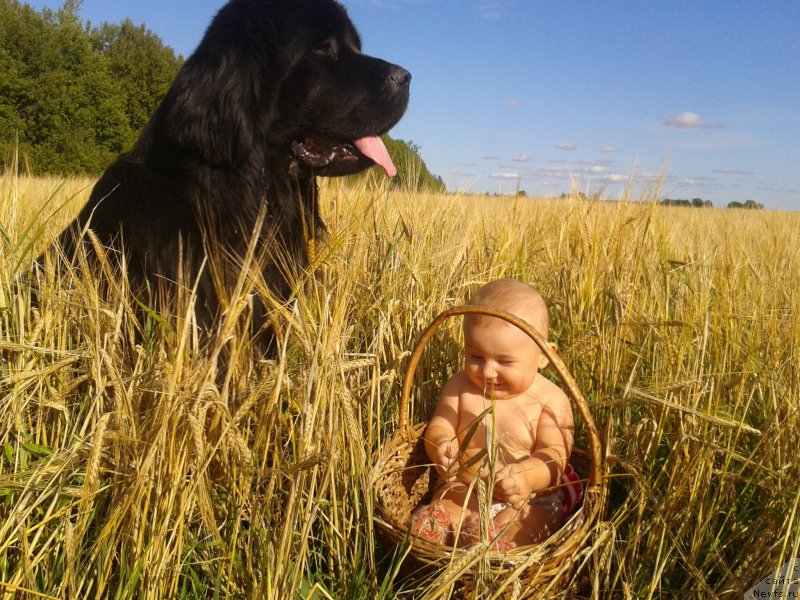 Фотография № 190885